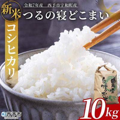 ふるさと納税 西予市 【先行予約】新米 &lt;令和7年産 コシヒカリ「つるの寝どこまい」10kg 西予市宇和町産&gt;