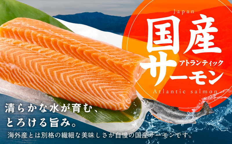 国産アトランティックサーモン 500g ポーション【小分け 真空パック 訳あり サイズ不揃い 刺身 海鮮丼 さーもん 鮭 さけ シャケ しゃけ 冷凍】 nbj0010