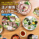 【ふるさと納税】【北海道・離島配送不可】＜定期便・全6回(連続)＞旬の鮮魚(6ヶ月コース)お刺身 お刺し身 魚介 海鮮 漬け丼 ブリ ぶり ヒラメ 真鯛 シマアジ カンパチ お楽しみ【AP-47】【日向屋】