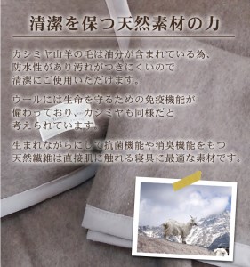カシミヤ毛布 シングルサイズ [3755] | 毛布