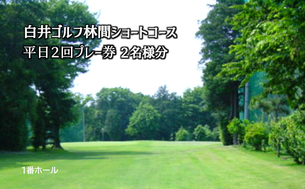 
白井ゴルフ林間ショートコース 平日2回プレー券 2名様
