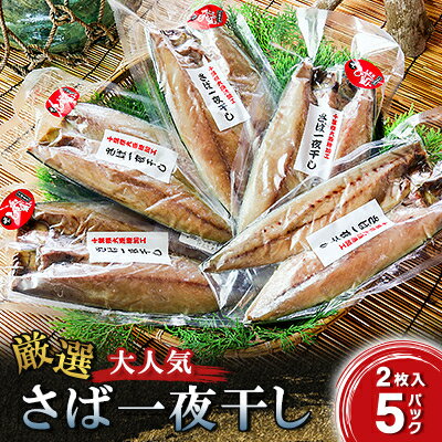 【ふるさと納税】厳選!大人気さば一夜干し【配送不可地域：離島】【1438801】