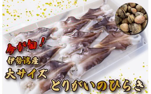★レビューキャンペーン対象★【期間限定】とりがいのひらき 旬 おすすめ 大サイズ とり貝 トリガイ 貝 鳥貝 急速冷凍 高タンパク 低脂肪 ヘルシー