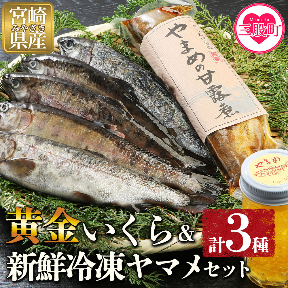 【先行予約】＜黄金イクラと新鮮冷凍ヤマメセット＞(3種)黄金イクラやヤマメを詰め合わせ！【有限会社しゃくなげの森】【A-0202-sk】
