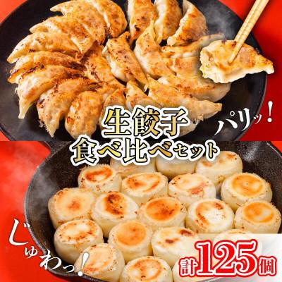 ふるさと納税 松山市 あさの生餃子 もち〇生餃子 セット【5パック 計125個】