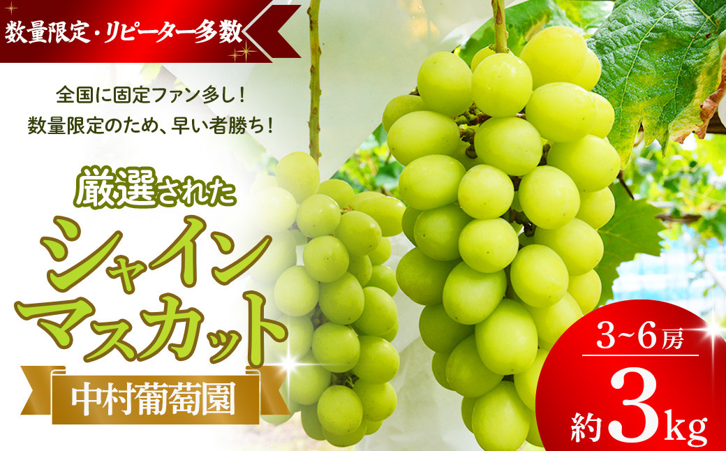 
【2025年発送】シャインマスカット 3kg 3房～6房 先行予約 先行 予約 山梨県産 国産 産地直送 人気 おすすめ 贈答 ギフト お取り寄せ フルーツ 果物 くだもの ぶどう ブドウ 葡萄 新鮮 甘い 皮ごと 種なし 甲斐市 N-10
