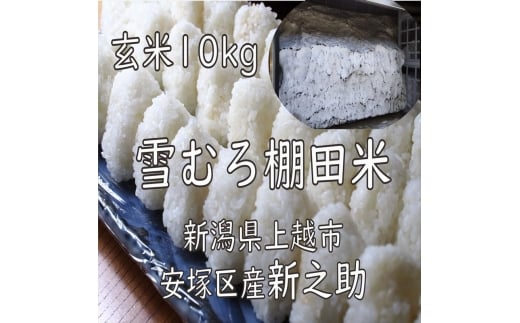 令和7年 新潟県産 棚田米 新之助 玄米 10kg 10キロ 雪中貯蔵 雪むろ しんのすけ お米 こめ 新潟 上越 米 送料無料