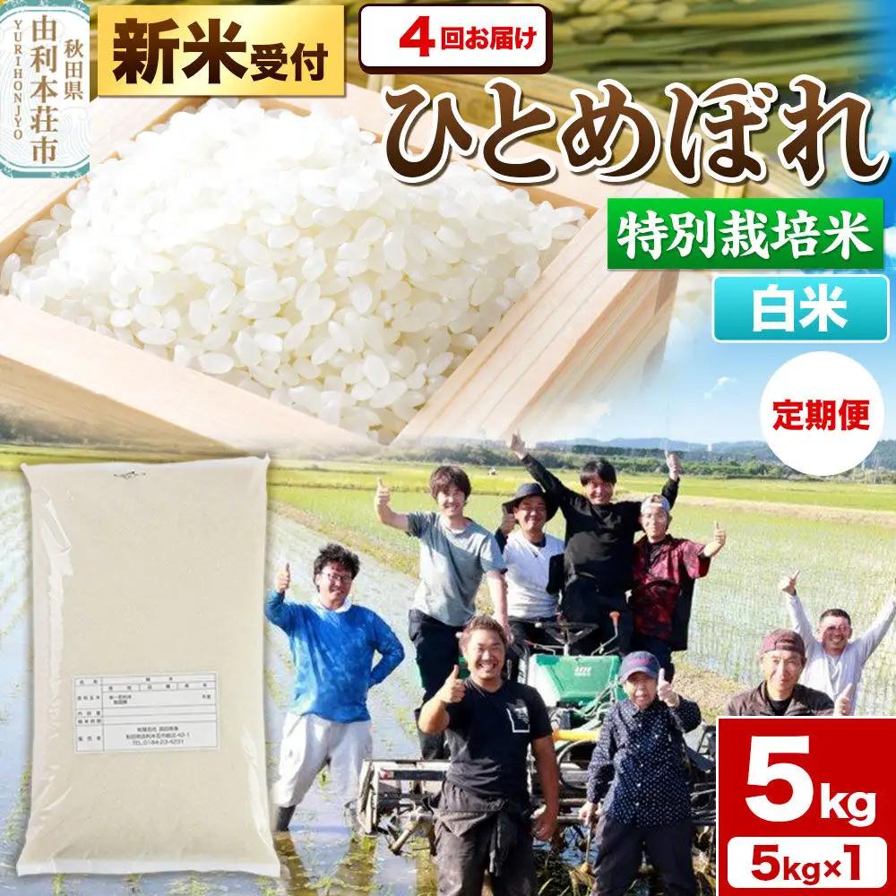 《新米予約》《定期便4ヶ月》令和8年産【白米】特別栽培米 ひとめぼれ 5kg 秋田県産 [ひとめぼれ 米 お米 白米 精米 特別栽培米 ブランド米 食卓 秋田県産 秋田県 由利本荘市]