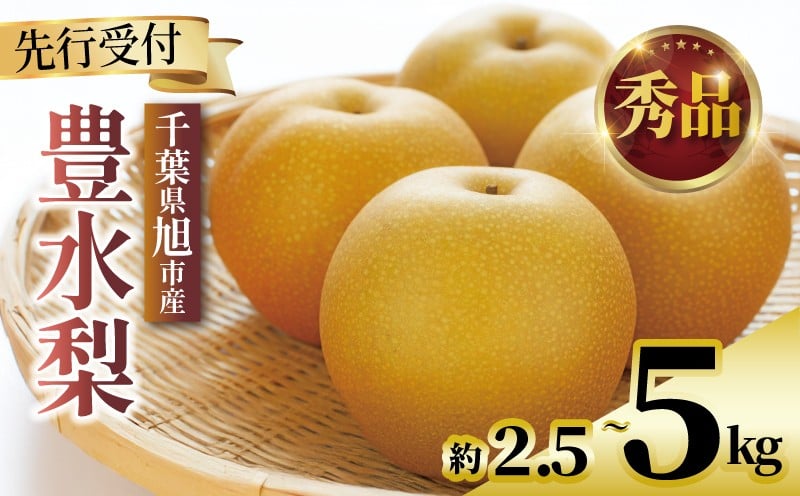 
                  【2026年先行予約】 千葉県産 梨 豊水 選べる 約 2.5kg 5kg 秀品 豊水梨 なし 和梨 果物 果実 くだもの フルーツ 旬の果物 9月発送 2026 国産 千葉 千葉産 新鮮 鮮度 旬 厳選 贈答 贈り物 ふるさと納税 産地 送料無料 千葉県 旭市 齋藤園 ste
                