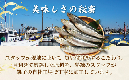 丸ごとイワシ 約3kg 冷凍 鰯 イワシ いわし 鰯 イワシ いわし 大一奈村魚問屋