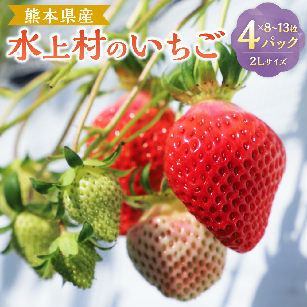 【ふるさと納税】水上村のいちご 1箱（2Lサイズ×4パック） 1パック8～13粒入り 大玉 パック詰め いちご イチゴ 苺 フルーツ くだもの 果物 果実 デザート 冷蔵 熊本県産 国産 九州 熊本県 水上村 送料無料 【2026年1月下旬～3月下旬発送予定】