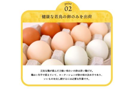 【3ヶ月お届け！】安藤鶏卵のこだわり卵 40個 美味しい卵 高級卵 濃厚鶏卵 生卵 赤玉卵 ピンク玉卵