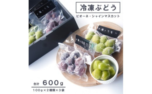 【 冷凍ぶどう 600g シャインマスカット ピオーネ 100g×6袋 小分け  京都 舞鶴産 冷凍 ぶどう 葡萄 フルーツ 果物