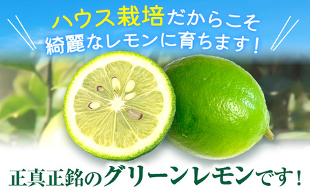 グリーンレモン 約2kg ときわオンライン【先行予約】《2026年10月上旬-2027年2月末頃出荷》 柑橘 和歌山県 紀の川市 フルーツ 果物 レモン グリーンレモン 檸檬 送料無料