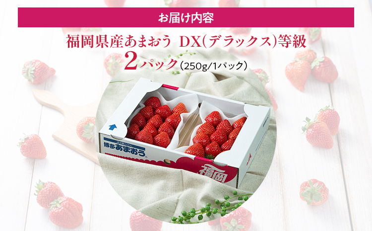 福岡産【冬】あまおうDX（デラックス）2パック いちご 苺 果物 フルーツ 九州産 福岡県産 冷蔵 送料無料 【12月上旬発送開始予定】 イチゴ フルーツ 果物 くだもの ブランド 国産 甘味 果汁