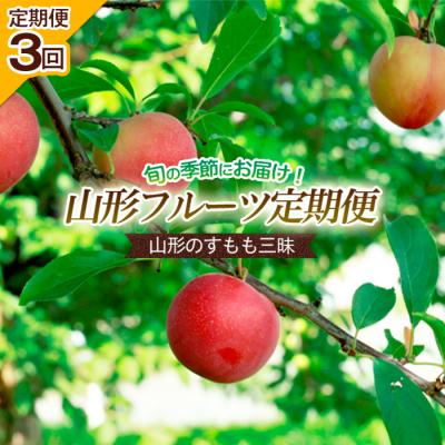 ふるさと納税 山形市 【定期便3回】山形のすもも三昧 【令和8年産】FS24-606