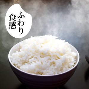 【 先行 予約 】米 こしひかり 5kg 厳選 食味鑑定士 白米 ごはん お米 産地直送 コシヒカリ 高知県産 須崎市 NPO012-3x