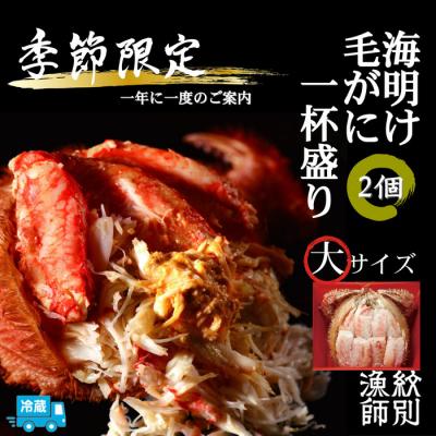 ふるさと納税 紋別市 北海道産海明け毛がに一杯盛り2個セット約500gの毛がに2尾使用【期間限定5月19日まで】(冷蔵便)