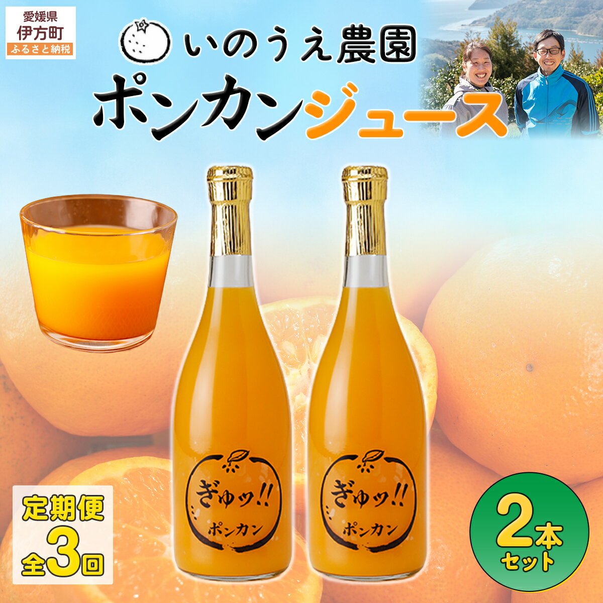 【ふるさと納税】【定期便】いのうえ農園 ポンカンジュース2本セット 全3回※離島への配送不可 【ふるさと納税 人気 おすすめ ランキング 柑橘 みかん ポンカン ポンカンジュース 定期便 フルーツ 果物 産地直送 いのうえ農園 愛媛県産 愛媛県 伊方町 送料無料】 IKTAI024