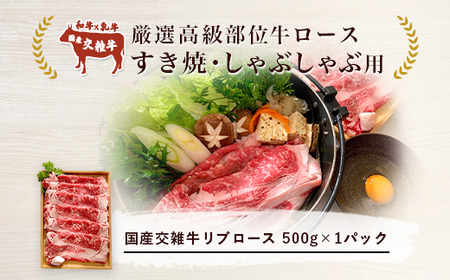 厳選高級部位牛ロース(すき焼き・しゃぶしゃぶ用)500g＜離島・沖縄配送不可＞