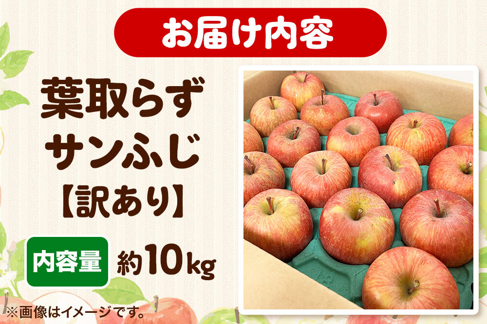 【26年11月下旬発送】りんご 葉取らず サンふじ【訳あり】約10kg【蜜入り】糖度13度以上 EMりんご 林檎 リンゴ 果物 くだもの フルーツ 青森県 弘前市 不揃い 規格外 [先行予約 家庭用 産地直送 アップル 青森県 弘前市]