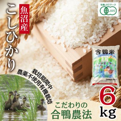 ふるさと納税 十日町市 【精米】魚沼産 コシヒカリ 6kg 栽培期間中農薬不使用 あいがも農法 有機栽培米 新潟県十日町市