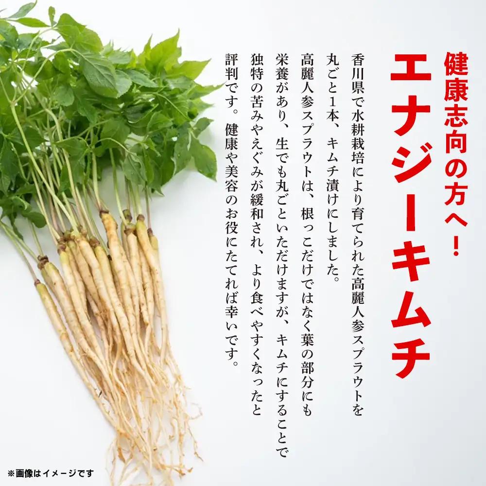 【10カ月定期便】一子相伝 秘伝のエナキム(高麗人参スプラウト・キムチ)1袋1本入(H104312)
