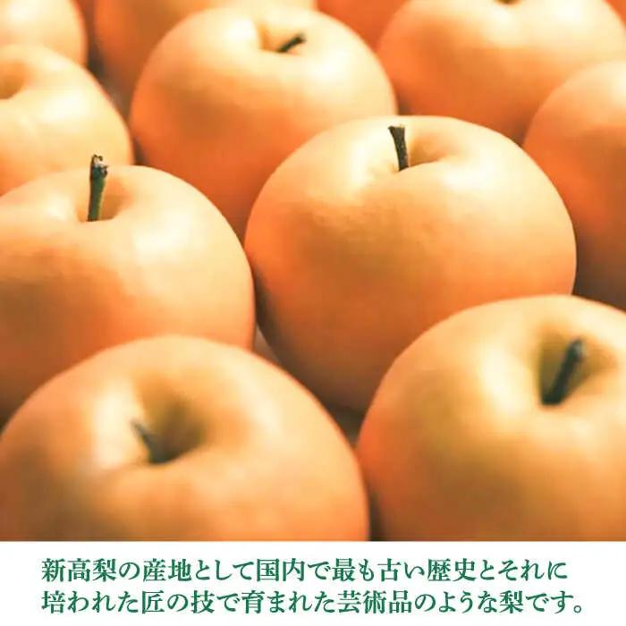 まるはり新高梨（約800g×3玉入） 〈2026年9月下旬?2026年10月上旬発送〉 / 新高梨 梨 果物 フルーツ デザート 【高知市農業協同組合】 [ATBK002]