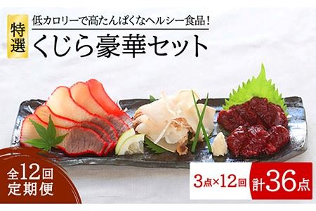 【12回定期便】特選 くじら 豪華 3点 五島市/丸宗水産[PAJ008]
