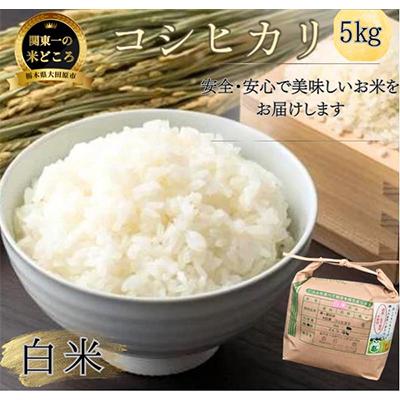 ふるさと納税 大田原市 【令和7年産新米 数量限定】古谷農産 栽培期間中農薬・化学肥料不使用 コシヒカリ 精米 5kg