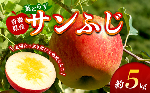 葉取らずサンふじ 約5kg 【ふじさき季の会】 青森りんご リンゴ 林檎 アップル ふじ発祥の地 おすすめ 東北 青森県 藤崎町 F41-0121