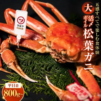 ふるさと納税 境港市 <平日着><11月上旬〜配送予定>活〆ボイル松葉蟹(大/800g〜)