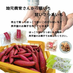 恵那の和ぽてと10個 / スイートポテト いも さつまいも サツマイモ シナモン 焼菓子 和菓子 / 恵那市 / 良平堂[AUDB027]