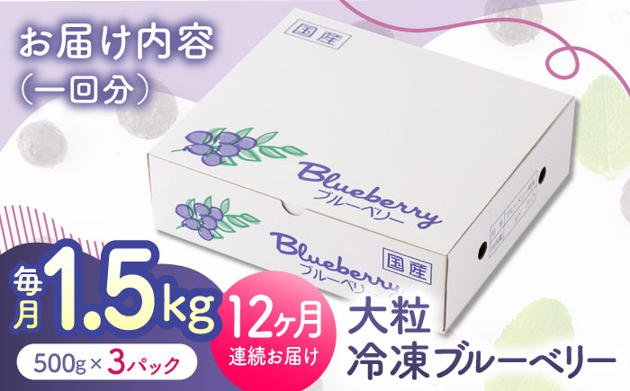 【先行予約】【12回定期便】大粒 冷凍ブルーベリー 約1500g（約500g×3pc） 【すみれファーム】 [ZEP015]