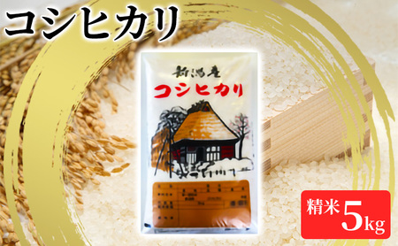 【令和６年産】新潟産 コシヒカリ精米5kg「従来品種」