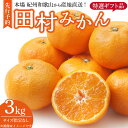 【ふるさと納税】【限定】 【2024年 先行予約】田村みかん／特選ギフト品3kg／サイズ指定なし／紀州和歌山有田郡湯浅町田村地区産／最高級プレミアムブランドの田村ミカン／紀伊国屋文左衛門本舗(お届け日指定不可)