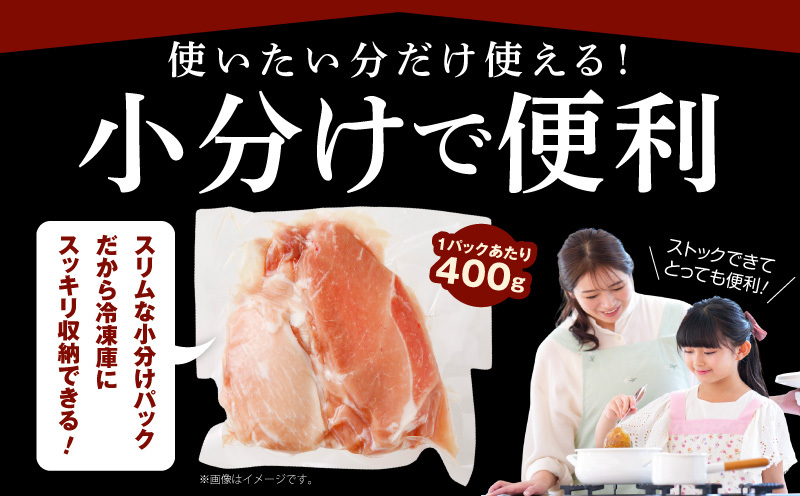 味付け肉 国産 豚肉 切り落とし 3.6kg 400g×9パック 訳あり 部位不揃い CFX0007_イメージ3