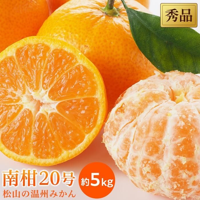 【ふるさと納税】【先行予約】【2025年12月中旬から発送予定】温州 みかん 南柑 20号 秀品 約5kg | 愛媛 みかん 先行予約 蜜柑 柑橘 果物 くだもの フルーツ お取り寄せ グルメ 期間限定 数量限定 人気 おすすめ 愛媛県 松山市