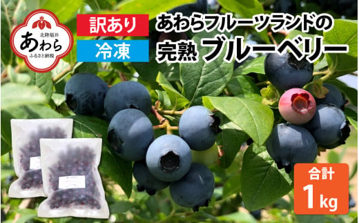 【訳あり】【冷凍】あわらフルーツランドのブルーベリー 1kg 500g×2袋 【完熟】 / フルーツ 果物 くだもの 福井県 あわら市 小分け 便利 たっぷり 完熟 ご当地 国産 おすすめ