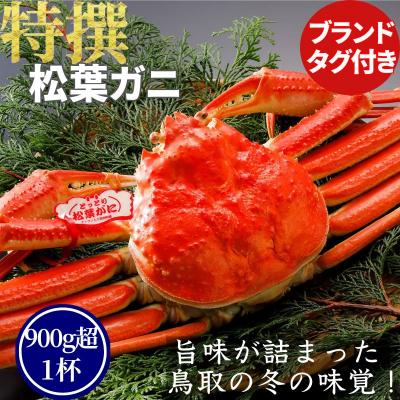 ふるさと納税 八頭町 【ボイル】特撰 松葉がに(タグ付き)900g超の大きいサイズ　特大1杯