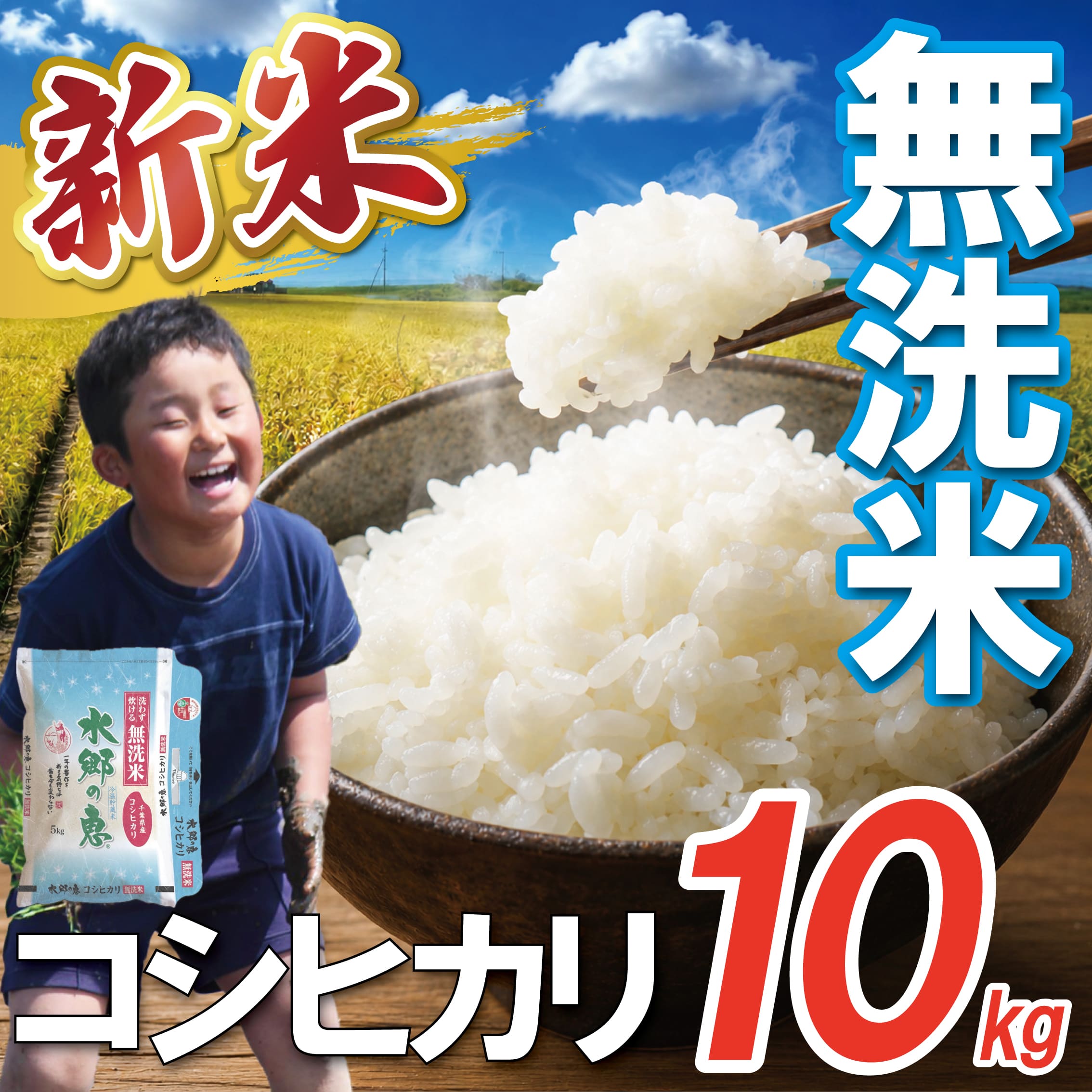 【ふるさと納税】 無洗米 新米 コシヒカリ 10kg 精米 米 令和8年産 先行予約｜ 水郷の恵 数量限定 千葉県産 米 お米 コメ 白米 ライス こしひかり むせんまい ご飯 ごはん お弁当 おにぎり 米10kg10キロ 銘柄米 新生活 kome 産地直送 ※ 新米予約 千葉県 香取市 HSS009_R8