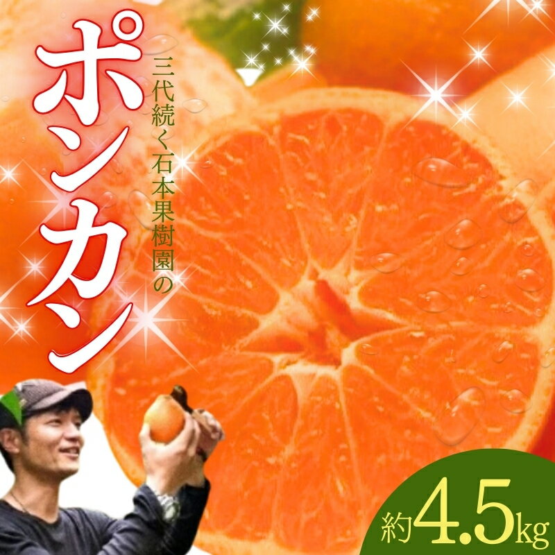 【ふるさと納税】 ポンカン 石本果樹園の 美味しい ポンカン 約4.5kg 20〜25玉前後【1月初旬から2月初旬までに順次発送】 / みかん フルーツ くだもの 果物 柑橘 先行予約 産地直送 送料無料 訳あり 家庭用 ワケあり 規格外