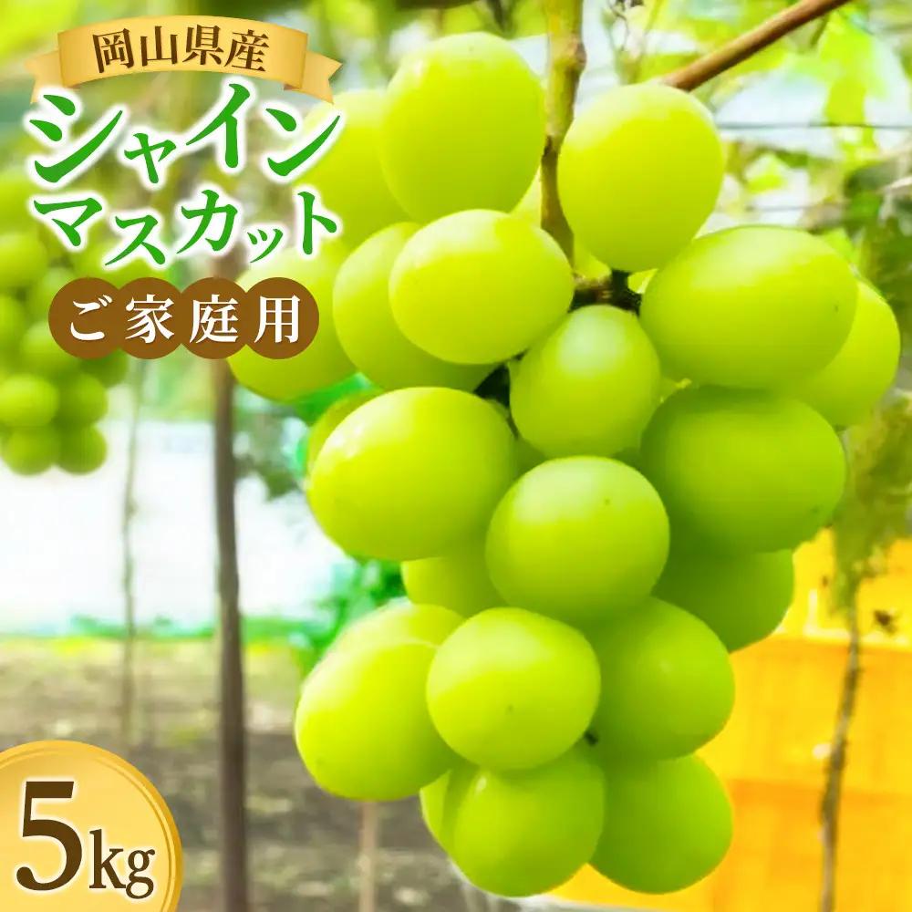 ご家庭用　岡山県産　シャインマスカット 5kg |  葡萄 ぶどう シャインマスカット フルーツ 果物 くだもの  国産 食品 人気 おすすめ 送料無料