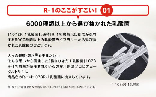 【定期便6回】明治プロビオヨーグルトR-1 こだわり食感 100g