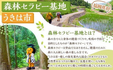 【参加型体験】うきは市森林セラピー （アロマスプレーづくり付き） 2名様 ／ 癒やし 森 リフレッシュ アロマ オリジナル うきは市