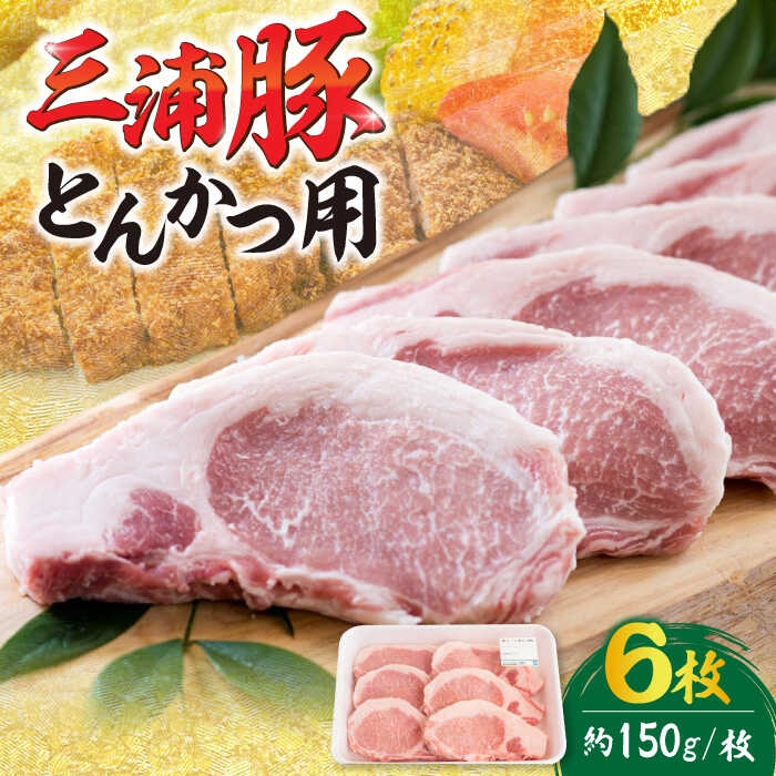 【ふるさと納税】三浦豚 豚肉 ロース900g（ステーキ / とんかつ用）/ ブランド豚 国産 ポーク とんかつ にく 肉 お肉 豚肉 ぶたにく 焼き肉 焼肉 バーベキュー 産地直送 お取り寄せ 岐阜県産 恵那市産 /恵那市/あづま精肉店[AUDL002]