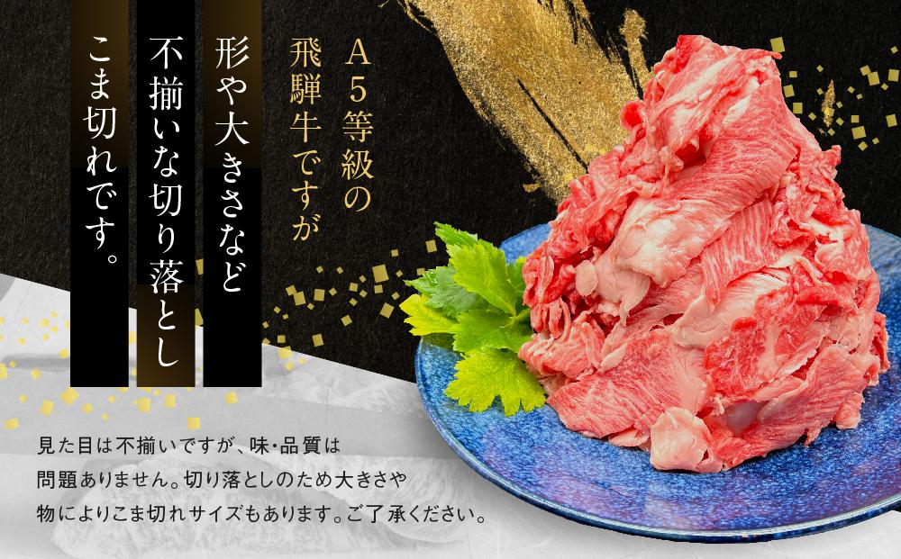 【形不揃い訳あり】A5等級飛騨牛 こま切れ 切り落とし1kg（200g×5パック）| 便利なこま肉 肉じゃが 肉料理 ブランド牛 不揃い 人気 国産 お取り寄せ グルメ おすすめ 飛騨高山 岩ト屋 H