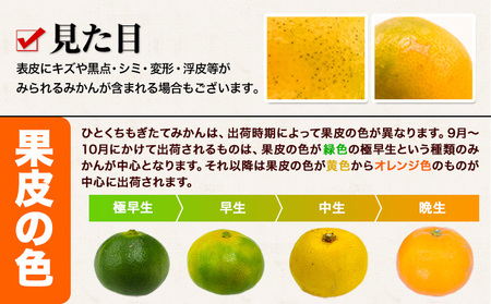 【先行予約】【2か月定期便】訳あり みかん ひとくちもぎたてみかん 約 7kg (7kg×1箱) S-3Sサイズ 訳あり ご家庭用 熊本県産 （荒尾市産含む） 期間限定 フルーツ 果物 旬 冬 柑橘 