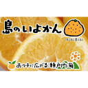 【ふるさと納税】【1月下旬から発送】 伊予柑 7kg いよかん 愛媛 中島産 | 愛媛 みかん 先行予約 蜜柑 柑橘 果物 くだもの フルーツ お取り寄せ グルメ 期間限定 数量限定 人気 おすすめ 愛媛県 松山市