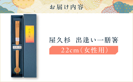 屋久杉 出逢い 一膳 箸 女性用（ 22cm ） K042-007_1